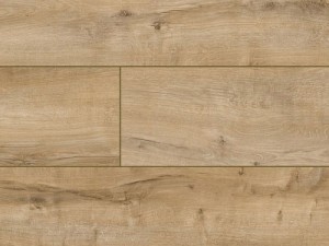 Panele podłogowe Dąb Connemara AC5 8mm Arteo 8 XL