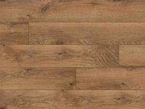 Panele podłogowe Dąb Edynburg AC5 8mm Classen Legend WR