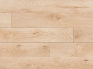 Panele podłogowe Dąb Gordon AC5 8mm Classen Legend WR