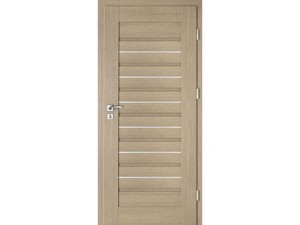 Drzwi wewnętrzne INTENSO AVANGARDE LION STEEL W-1