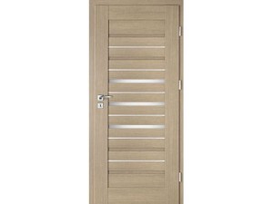 Drzwi wewnętrzne INTENSO AVANGARDE LION STEEL W-2
