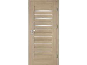Drzwi wewnętrzne INTENSO AVANGARDE LION STEEL W-4