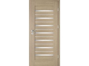 Drzwi wewnętrzne INTENSO AVANGARDE LION STEEL W-5