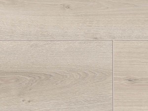 Dąb Capricorn-2.jpg