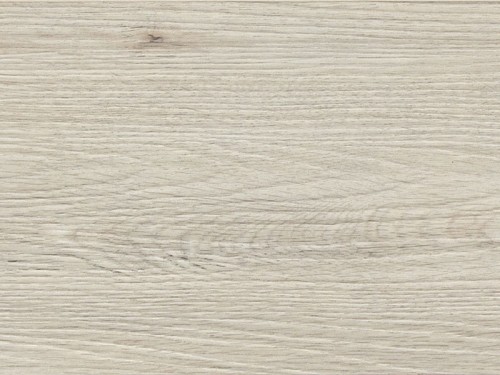 oak-old-rigid-vilo.jpg