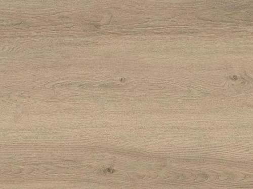 oak-moon-floorpan-orange.jpg