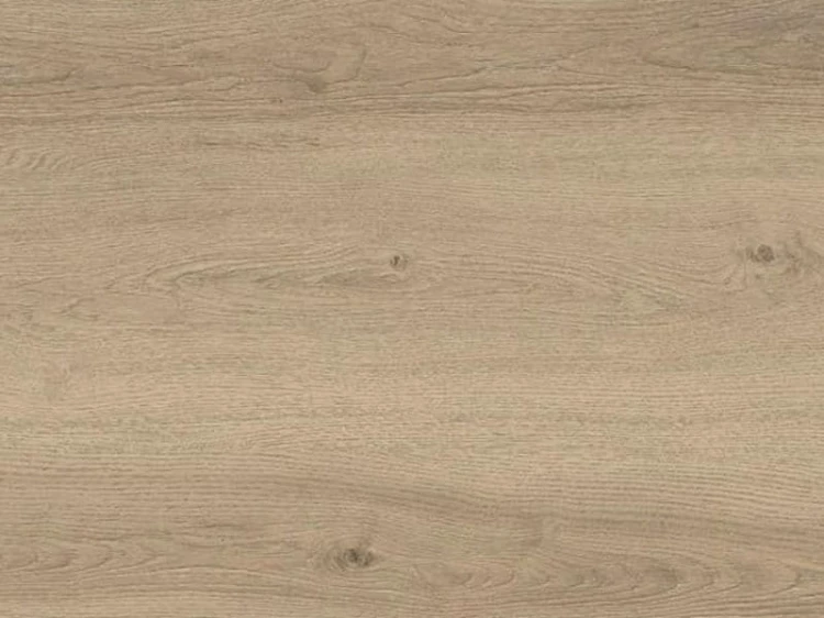 oak-moon-floorpan-orange.jpg