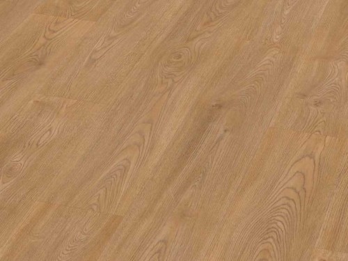 Dąb Viena Dorado.jpg