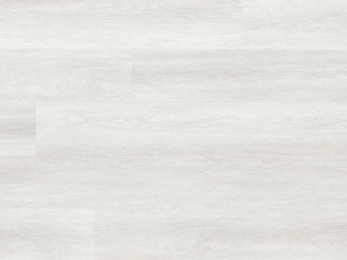 Dąb Hayworth Arbiton Woodric.jpg