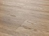 Dąb Lakewood Arbiton Woodric-2.jpg