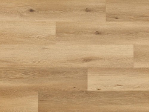 Dąb Cavaillon Arbiton Woodric EIR.jpg