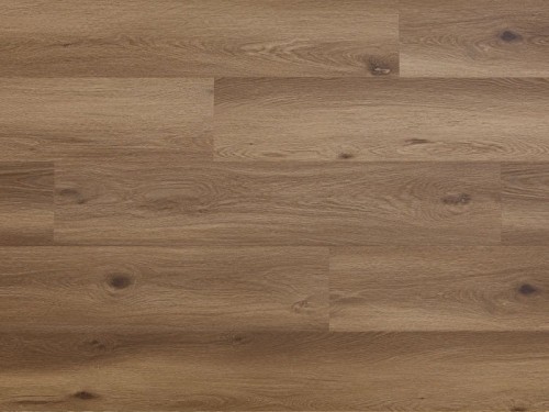 Dąb Dallas Arbiton Woodric EIR.jpg