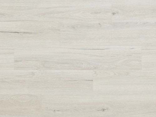 Dąb Eldborg Arbiton Woodric EIR.jpg