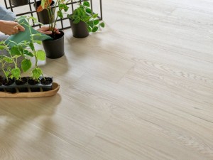 Dąb Eldborg Arbiton Woodric EIR-2.jpg