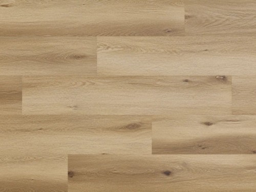 Dąb Garland Arbiton Woodric EIR.jpg