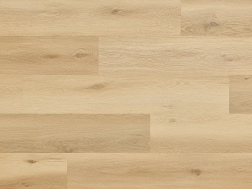 Dąb Highlands Arbiton Woodric EIR.jpg