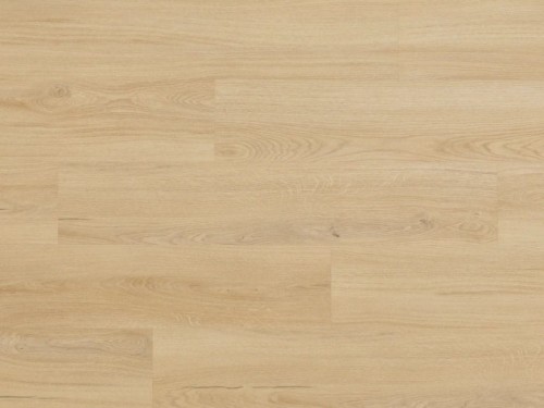 Dąb Lavant Arbiton Woodric EIR.jpg