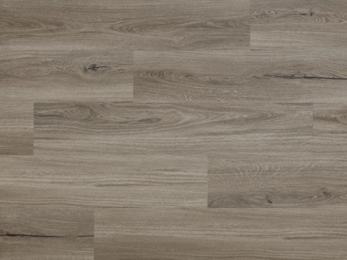 Dąb Lincoln Arbiton Woodric EIR.jpg