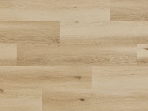 Dąb nordland Arbiton Woodric EIR.jpg