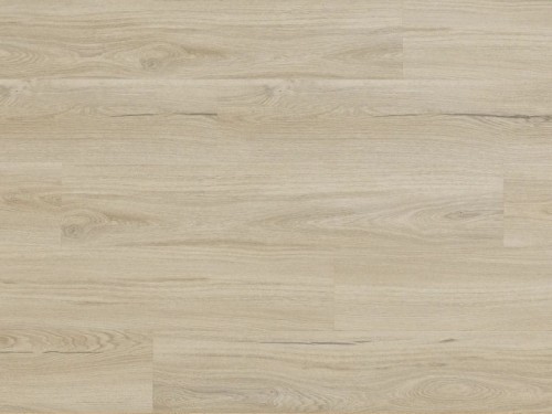 Dąb Salerno Arbiton Woodric EIR.jpg