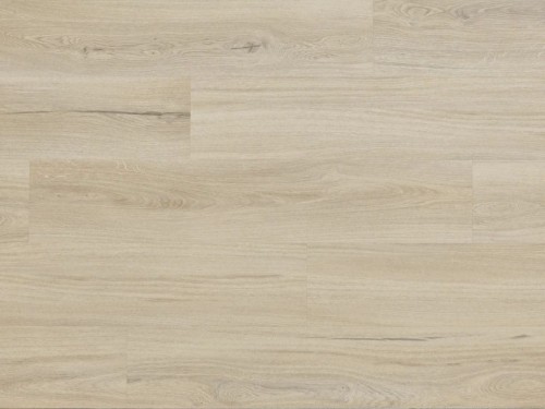 Dąb Brandon Arbiton Woodric EIR.jpg