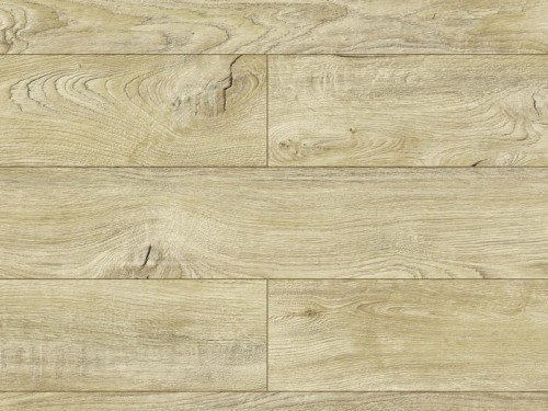 Dąb Tabita Akaba Swiss Krono.jpg