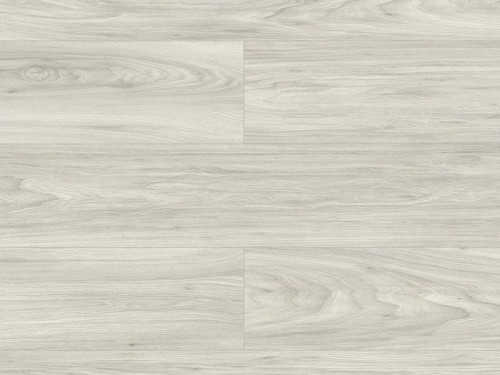 Wiąż Baruch Testa Swiss Krono.jpg