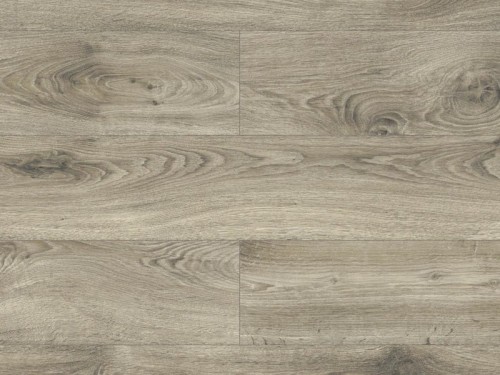 Dąb Alladyn Testa Swiss Krono.jpg