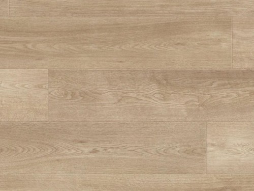 dab-dakota-erie-kaindl-aqua-pro-supreme-natural touch.jpg