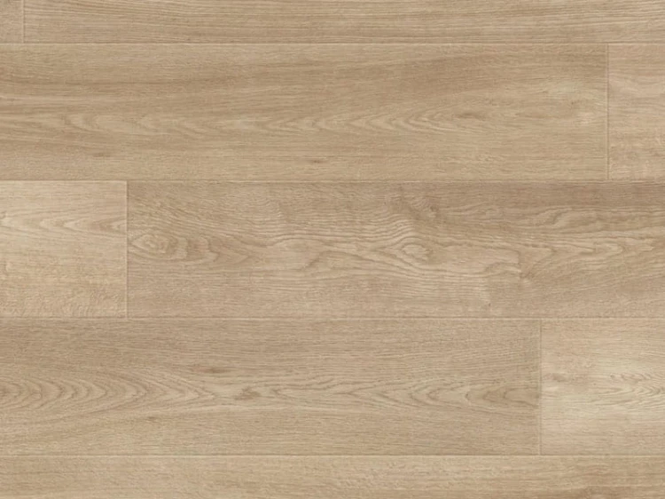 dab-dakota-erie-kaindl-aqua-pro-supreme-natural touch.jpg