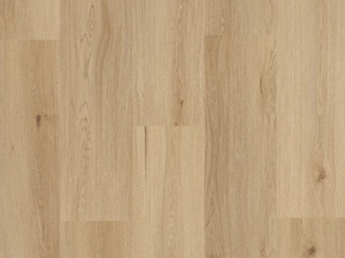 dab-yankee-arbiton-amaron-wood-dryback.jpg