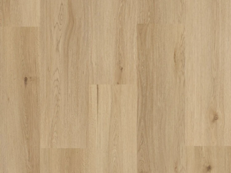 dab-yankee-arbiton-amaron-wood-dryback.jpg