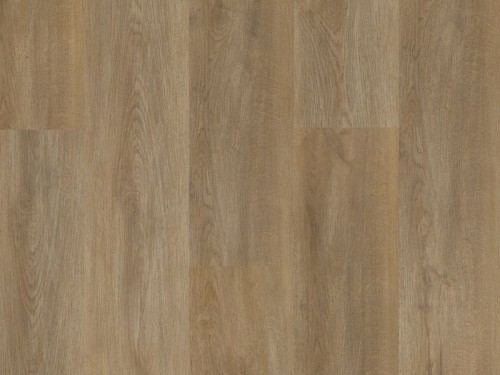 dab-sierra-arbiton-amaron-wood-dryback.jpg