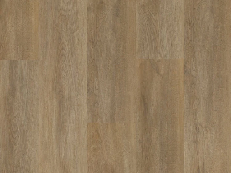 dab-sierra-arbiton-amaron-wood-dryback.jpg