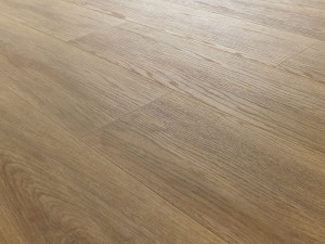 dab-sierra-arbiton-amaron-wood-dryback-2.jpg