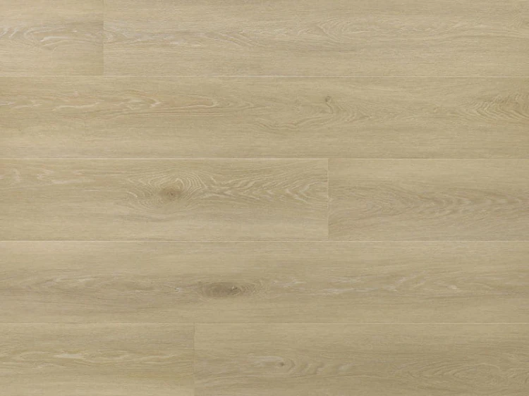 dab-johannes-arbiton-amaron-wood-dryback-eir.jpg
