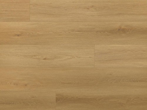 dab-menor-arbiton-amaron-wood-dryback-eir.jpg
