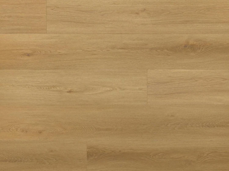 dab-menor-arbiton-amaron-wood-dryback-eir.jpg
