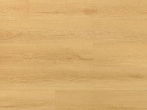 dab-virgin-arbiton-amaron-wood-dryback-eir.jpg