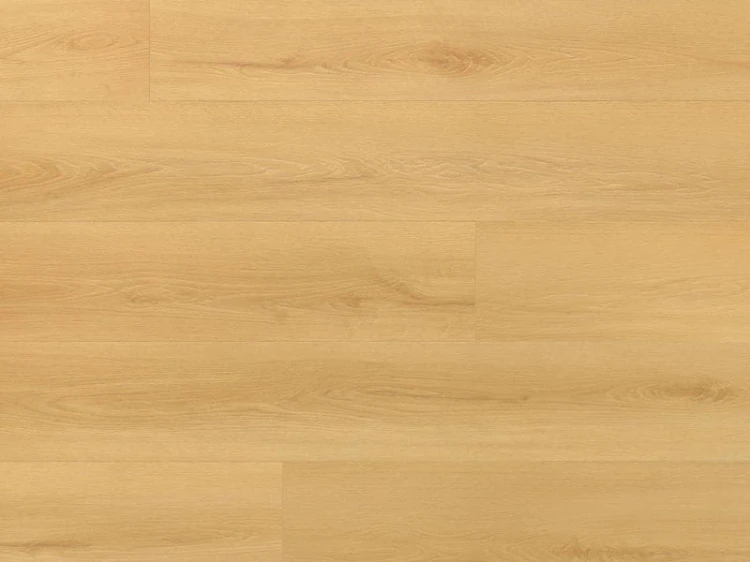 dab-virgin-arbiton-amaron-wood-dryback-eir.jpg
