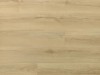 dab-princeton-arbiton-amaron-wood-dryback-eir.jpg