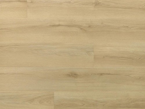 dab-princeton-arbiton-amaron-wood-dryback-eir.jpg