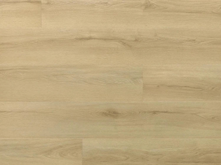 dab-princeton-arbiton-amaron-wood-dryback-eir.jpg