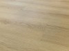 dab-princeton-arbiton-amaron-wood-dryback-eir-2.jpg