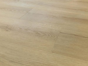 dab-princeton-arbiton-amaron-wood-dryback-eir-2.jpg