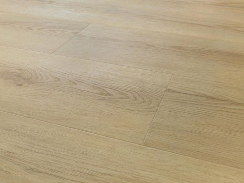 dab-princeton-arbiton-amaron-wood-dryback-eir-2.jpg