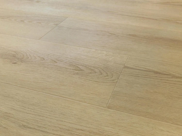 dab-princeton-arbiton-amaron-wood-dryback-eir-2.jpg