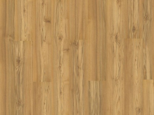 Teak Tasmanian.jpg