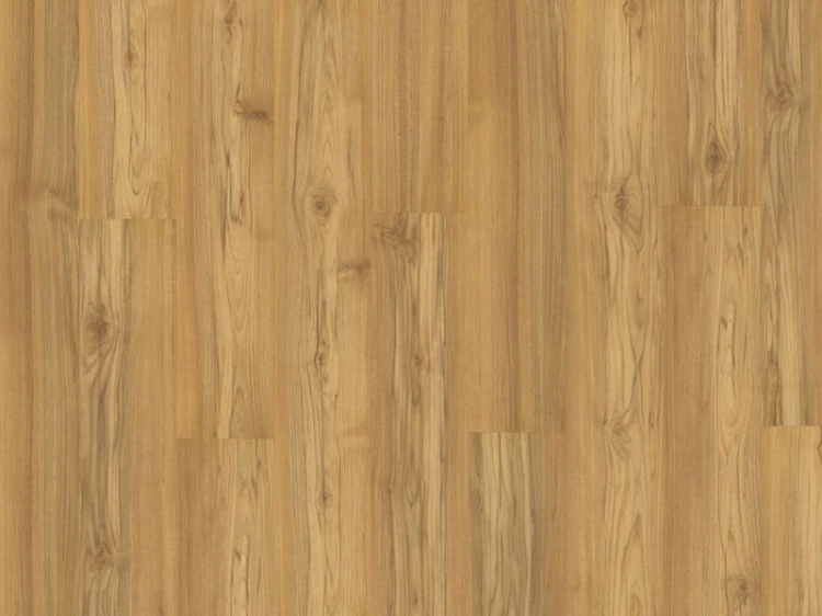 Teak Tasmanian.jpg