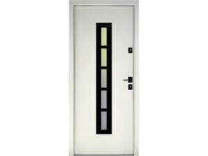 Drzwi zewnętrzne Delta Special Gładkie Drabinka